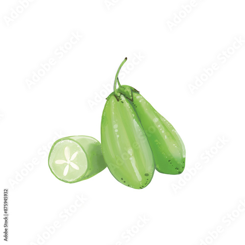 Taling Pling Fruit of Thailand. watercolor.