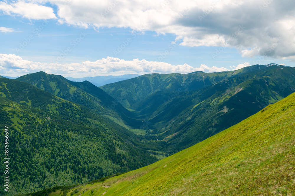 Fototapeta premium Beautiful mountain landscape in summer. Green grass, high rocks, blue sky and white clouds. Natural background. Tatra Mountains