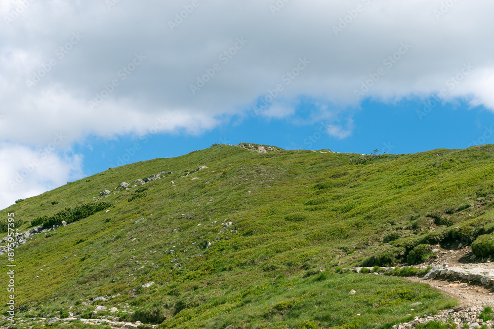Fototapeta premium High green hill and blue sky. Natural summer landscape. Tatra Mountains