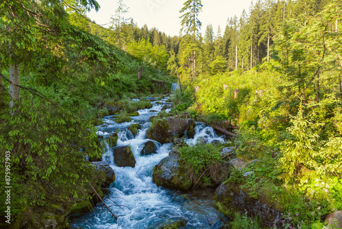 Mountain river on a summer morning. Beautiful natural background. Tatra Mountains