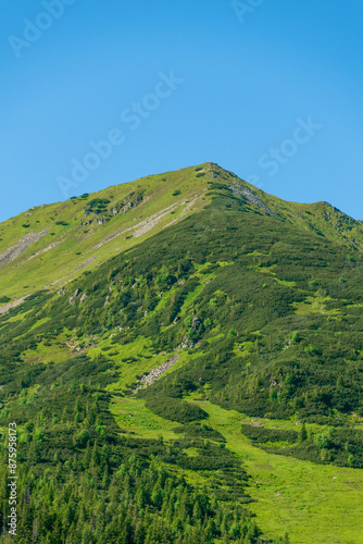 Photography Beautiful summer landscape in the mountains