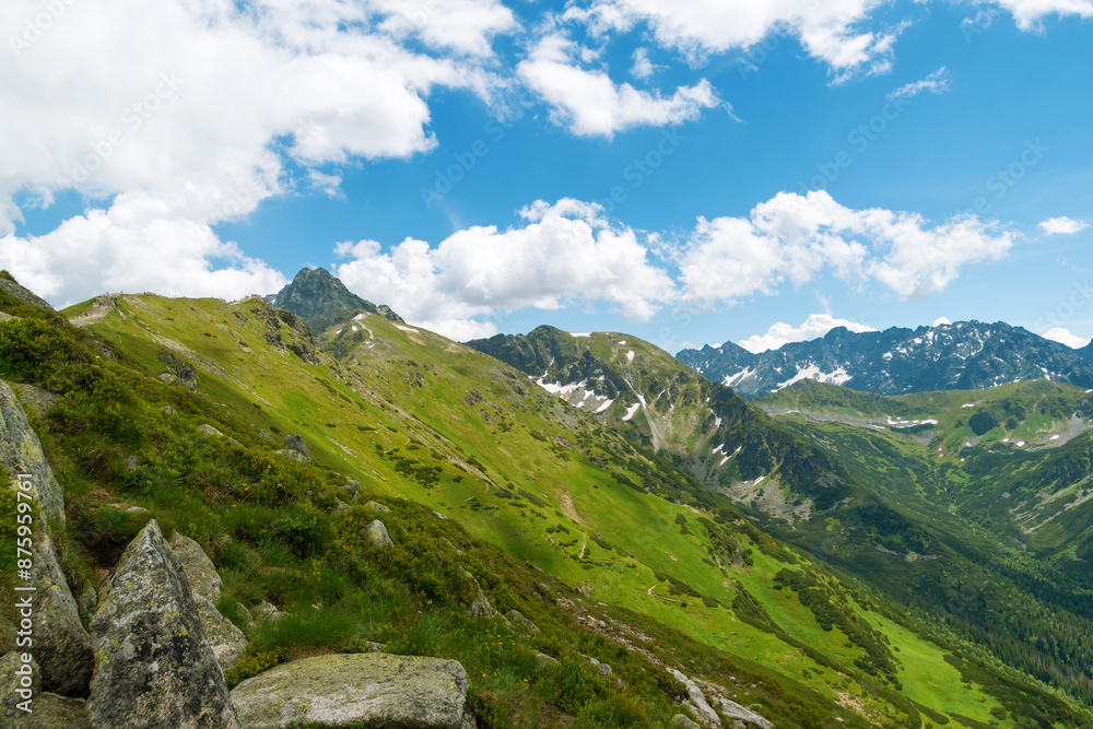 Fototapeta premium Beautiful mountain landscape in summer. Green grass, high rocks, blue sky and white clouds. Natural background. Tatra Mountains