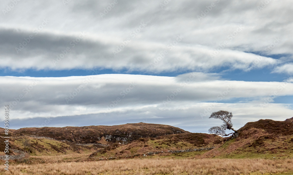 A lone tree straddles the gap in a row of hills by the single track road to Rhu, Arisaig, Scotland A lone tree straddles the gap in a row of hills by the single track road to Rhu, Arisaig, Scotland
