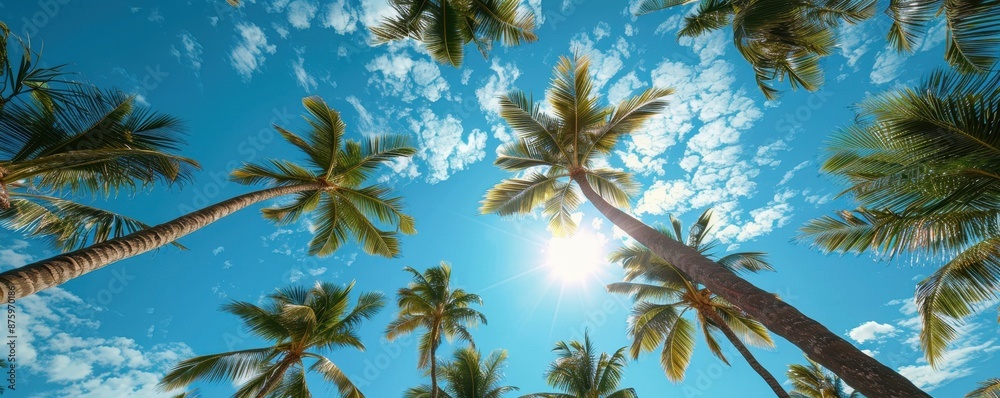 Fototapeta premium Tropical Paradise, Palm Trees Silhouetted Against a Bright Blue Sky