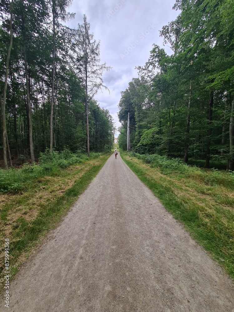 ein Wanderpfad im Grünen von der Moritzburg zum Fasanschlösschen in Moritzburg, einem Ort in Sachsen - Deutschland ein Wanderpfad im Grünen von der Moritzburg zum Fasanschlösschen in Moritzburg, einem Ort in Sachsen - Deutschland