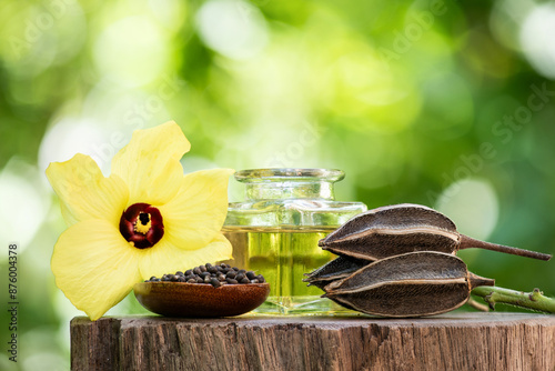 Abelmosk ,pod,seeds and yellow flower on natural background. photo