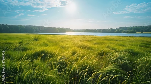 A bluegrass field with a lake image