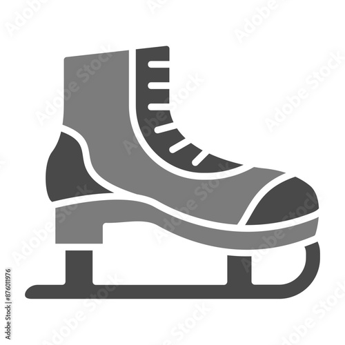 Photography Ice skate Icon
