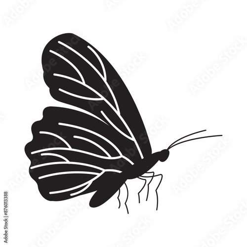 silhouette butterfly icon in black