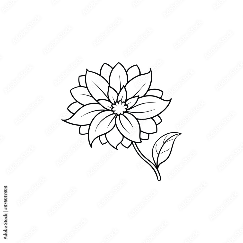 black and white lotus flower black and white lotus flower