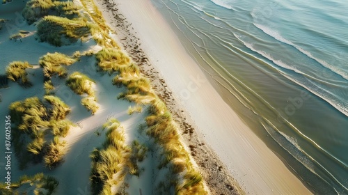 A wild beach with dunes picture