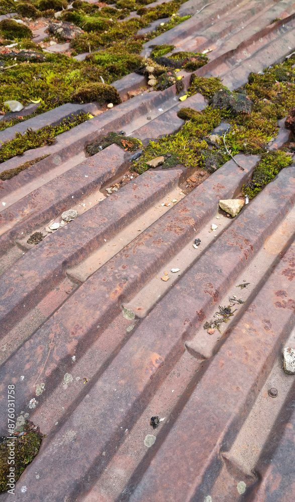 Old metal roof tile. Old roof tiles with moss and lichen. Old metal roof tile. Old roof tiles with moss and lichen.
