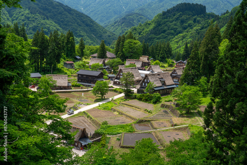 Obraz premium 世界遺産 初夏の五箇山 相倉合掌造り集落