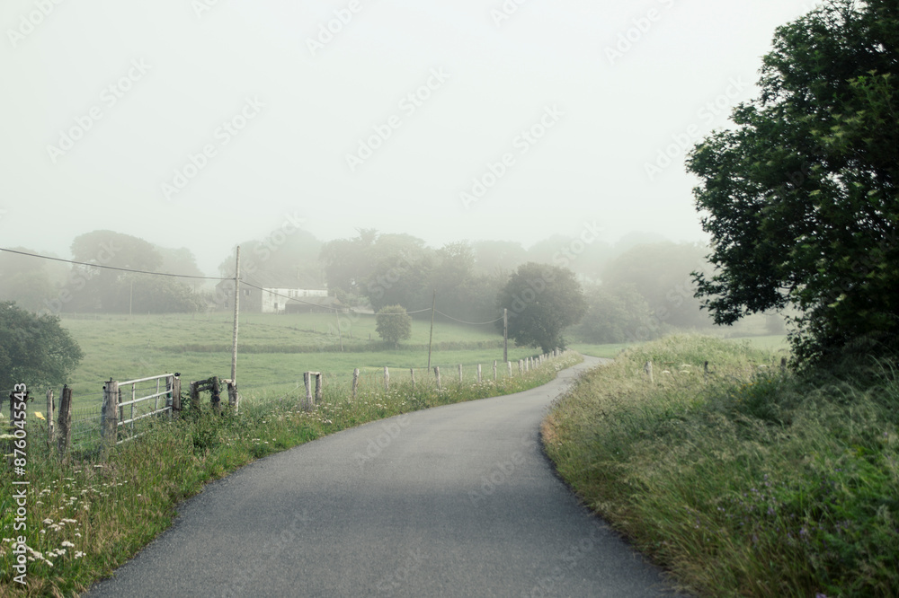 Fototapeta premium road in the morning