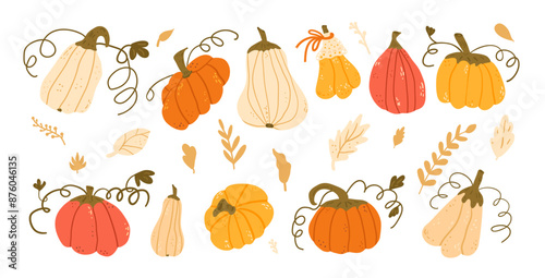 Set of pumpkins in various shapes and colors. Textured autumn ripe harvest vegetables. Vector hand drawn flat collection illustration isolated on white background.