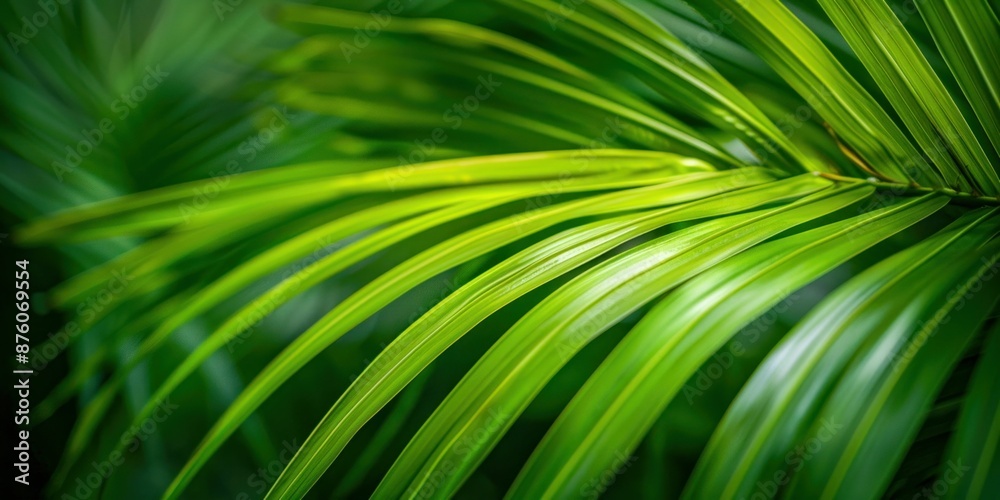 Close-Up of Vibrant Green Palm Leaf. Generative ai Close-Up of Vibrant Green Palm Leaf. Generative ai