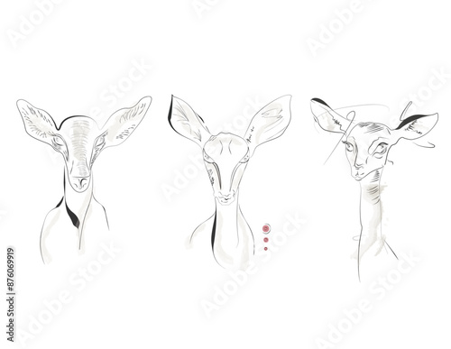 silhouette of a deer