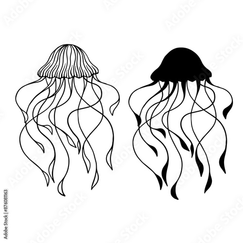Linear sketch, outline, silhouette, stamp of sea inhabitants of jellyfish. Vector graphics.