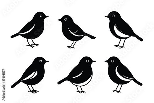 Enhance your designs with this set of 6 graceful bird silhouettes. Perfect for logos, invitations, wall art, and more. Scalable vectors for unlimited creative possibilities