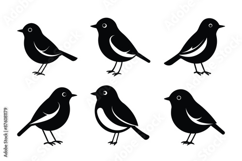 Enhance your designs with this set of 6 graceful bird silhouettes. Perfect for logos, invitations, wall art, and more. Scalable vectors for unlimited creative possibilities