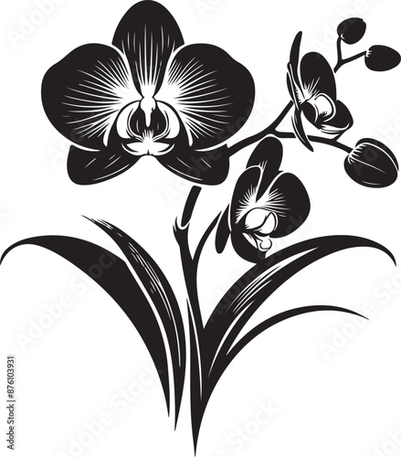 orchid silhouette, orchid svg, orchid png, orchid illustration, orchid, silhouette flower, floral svg, herb svg, flower illustration, flower, floral, vector, nature, illustration 8