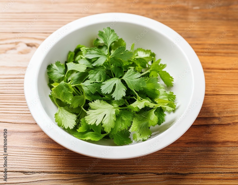 fresh cilantro in a white bowl on a wooden table. Selective focus fresh cilantro in a white bowl on a wooden table. Selective focus