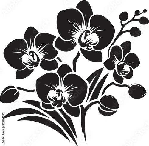 orchid silhouette, orchid svg, orchid png, orchid illustration, orchid, silhouette flower, floral svg, herb svg, flower illustration, flower, floral, vector, nature, illustration 1
