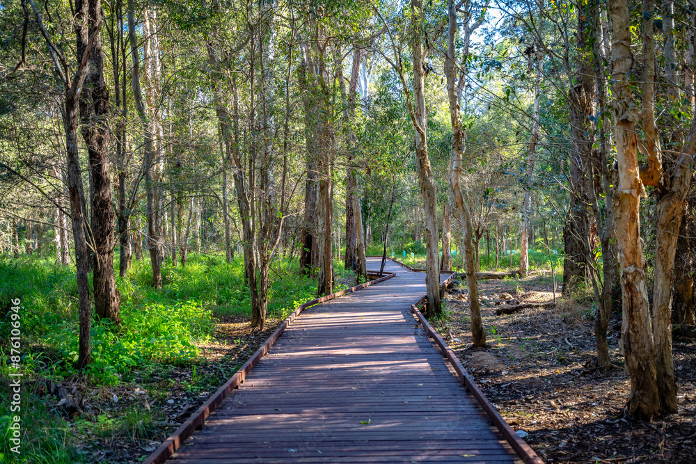 White Rock Conservation Area in Queensland, Australia White Rock Conservation Area in Queensland, Australia