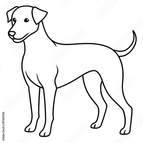 A dog vector art illustration