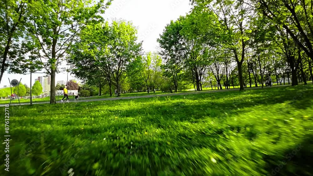 Immerse yourself in the tranquility of nature with this captivating video of a serene park. The lush green trees and vibrant flowers create a picturesque setting for a leisurely stroll. Feel the Immerse yourself in the tranquility of nature with this captivating video of a serene park. The lush green trees and vibrant flowers create a picturesque setting for a leisurely stroll. Feel the