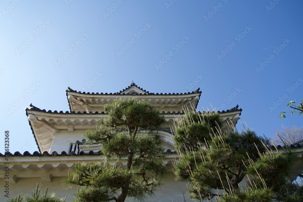 Pine trees and the keep of Marugame Castle from below Pine trees and the keep of Marugame Castle from below