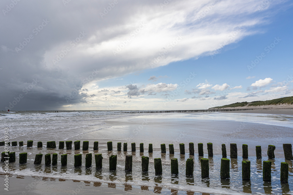 Fototapeta premium Beach