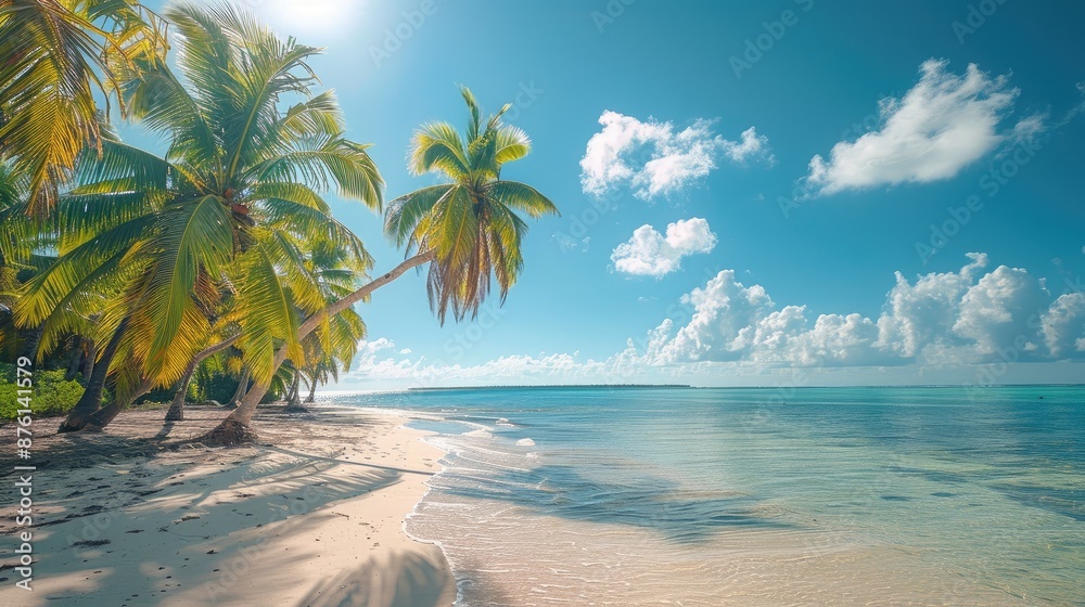 Tropical palm trees on sandy shoreline Tropical palm trees on sandy shoreline