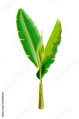 Baby Banana Tree