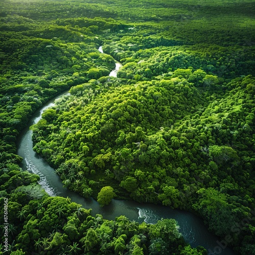 A breathtaking aerial view of a dense tropical rainforest with a meandering river cutting through the lush green canopy, showcasing the rich biodiversity and natural beauty