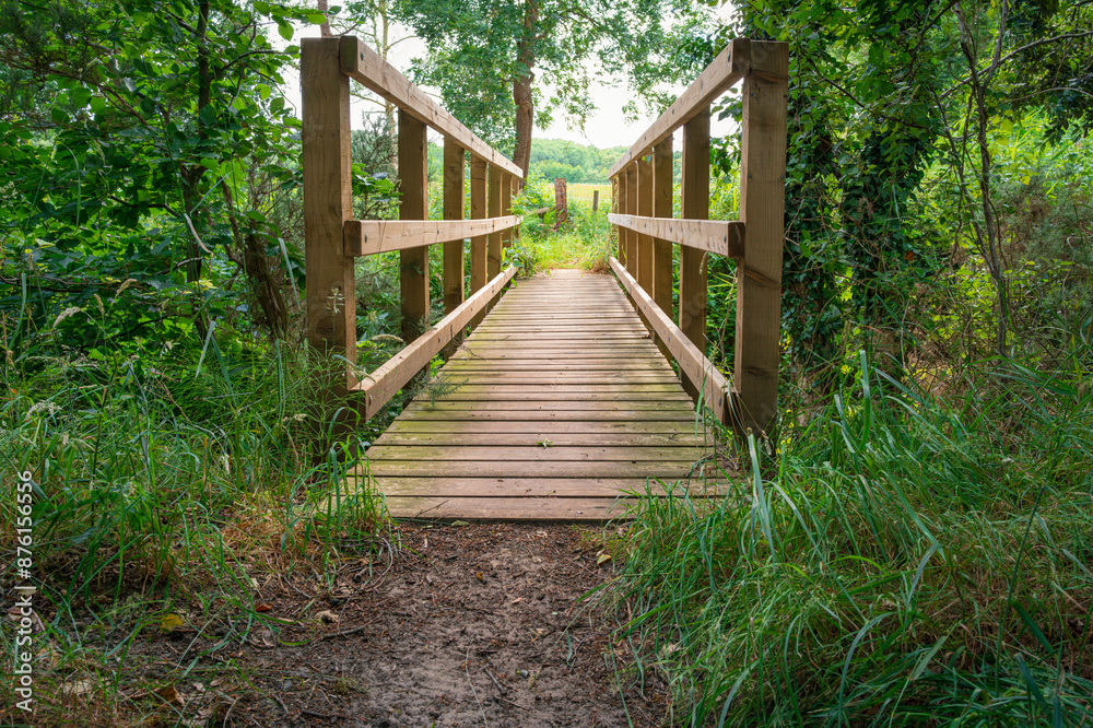 Newly constructed footbridge crossing a small stream. Located at the edge of a large forest in Britain. The river is narrow but deep and is dangerous. Newly constructed footbridge crossing a small stream. Located at the edge of a large forest in Britain. The river is narrow but deep and is dangerous.