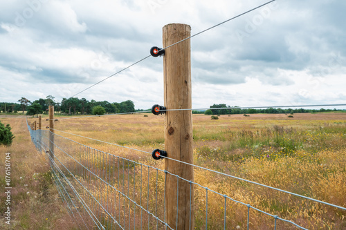 Newly installed electric fence and wooden posts seen on a farm within an area of natural beauty in the UK. A distant forest can be seen. photo