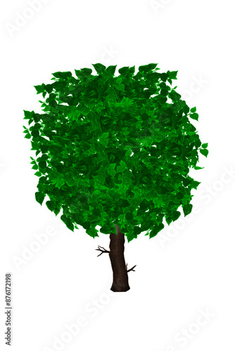 tree with leaves