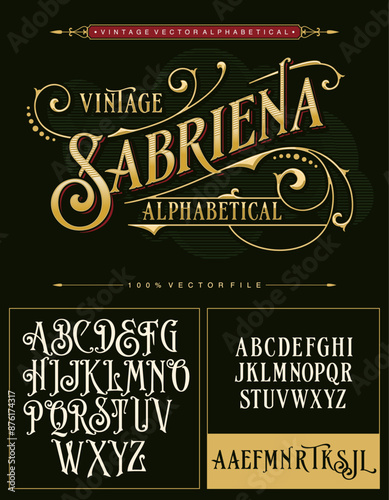 A vintage luxury antique victorian alphabet vector typeset photo