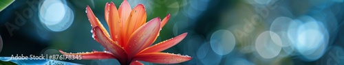 Abstract canvas blooming with lush, radiant flowers: In the symphony of colors, the flowers burst like delicate fireworks under the clear blue sky. photo