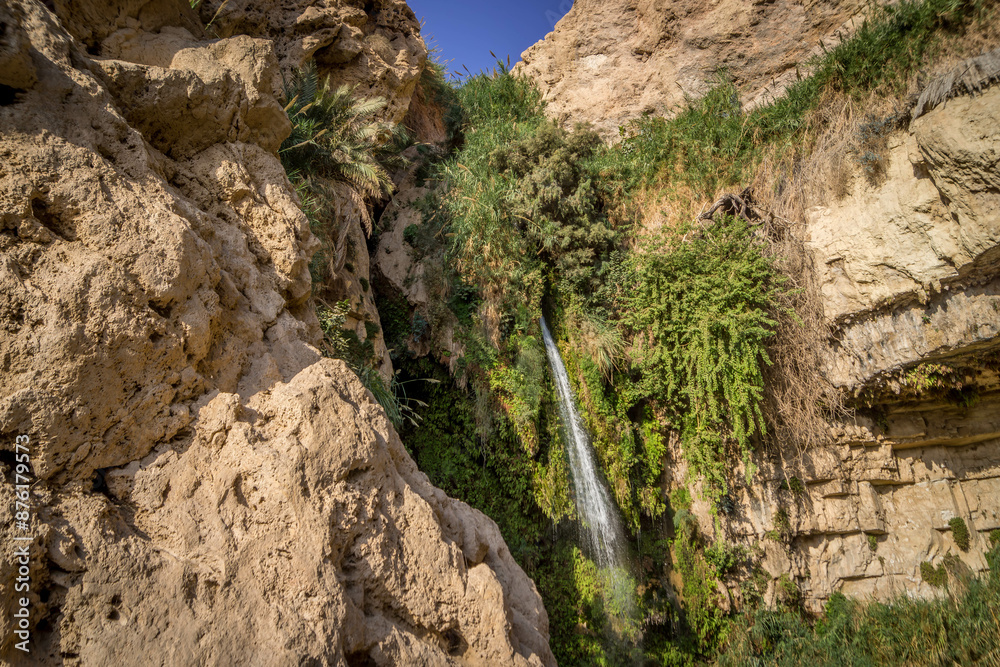 The small waterfall, green bushes, and dry rocks deep in the Middle East oasis at Ein Gedi national reserve in Israel.
The small waterfall, green bushes, and dry rocks deep in the Middle East oasis at Ein Gedi national reserve in Israel.