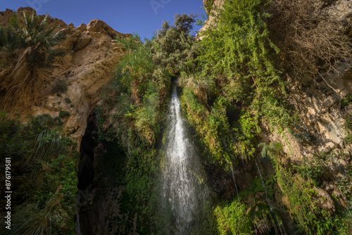The small waterfall, green bushes, and dry rocks deep in the Middle East oasis at Ein Gedi national reserve in Israel.
