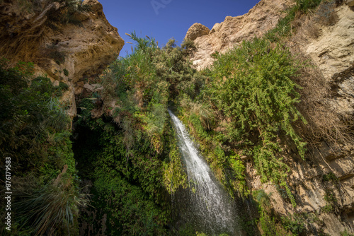 The small waterfall, green bushes, and dry rocks deep in the Middle East oasis at Ein Gedi national reserve in Israel. 