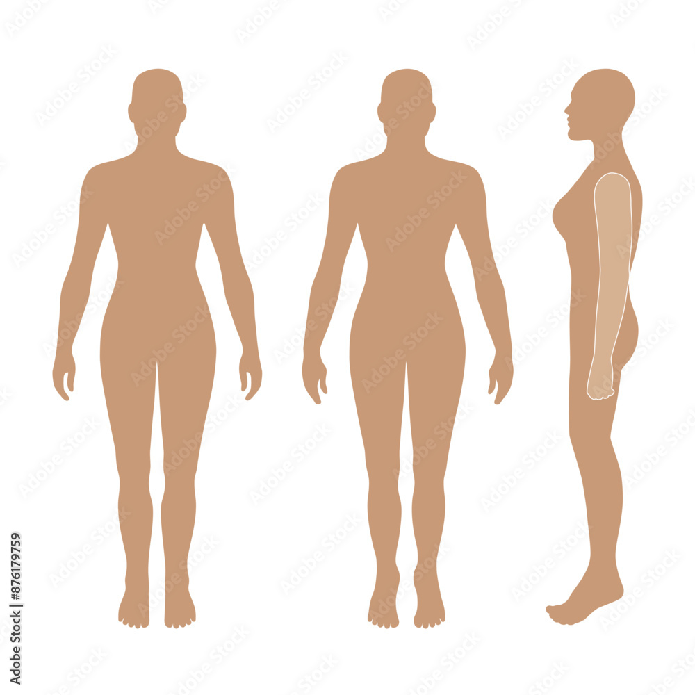 Naked standing woman bald silhouette Naked standing woman bald silhouette
