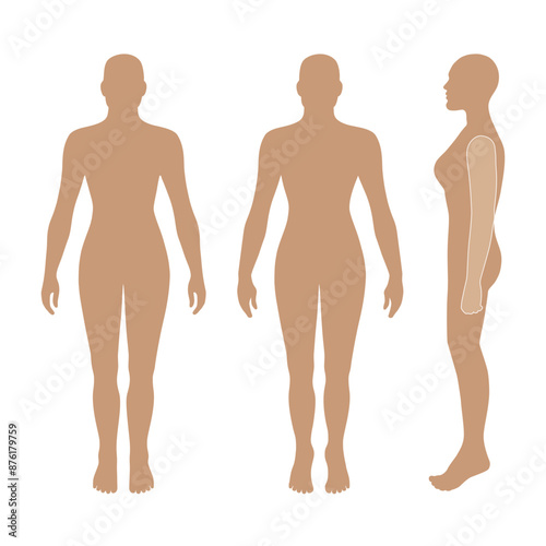 Naked standing woman bald silhouette