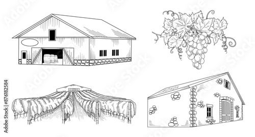 Wine, winery, grapes, vineyard line art drawing, hand drawn vector illustration