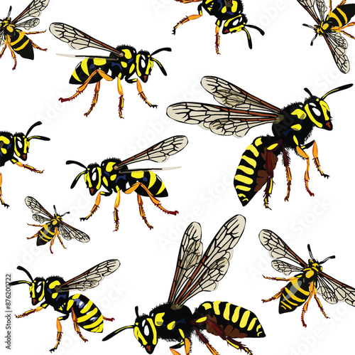 eleven black and yellow wasp set on white background