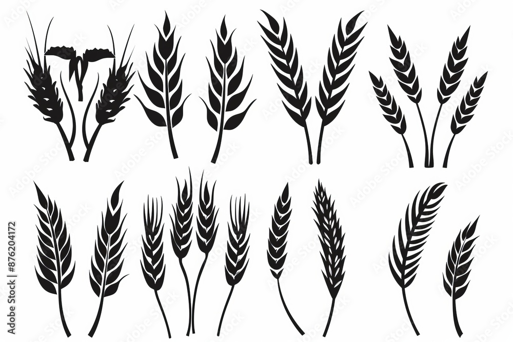 Wheat icon, rye ears sign, barley emblem, oats, cereals symbol, wheat ear, seeds, corns set Wheat icon, rye ears sign, barley emblem, oats, cereals symbol, wheat ear, seeds, corns set