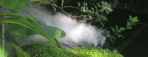 Tropical plants and moss growing outdoors in a garden being misted and splashed with water