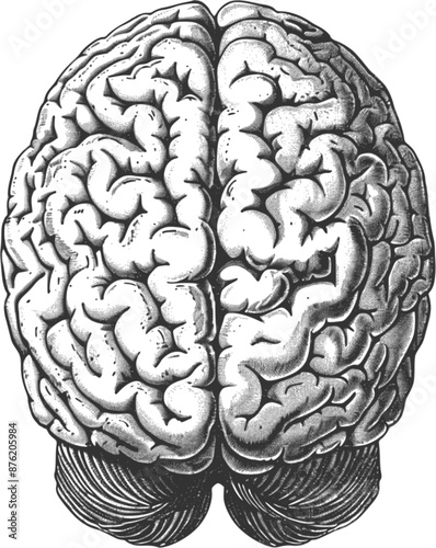 Top view of hand drawn of a vintage brain with engraved retro style on a transparent background